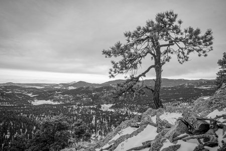 Colorado Front Range Mountains in Winter.の写真素材
