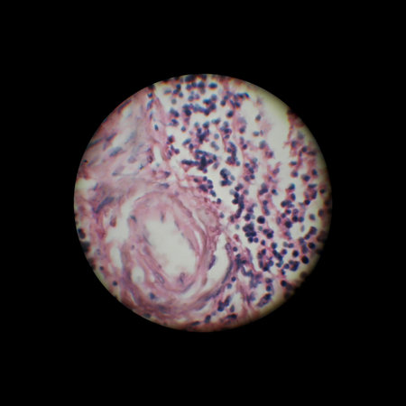 image through the microscope.  zoom x 40の写真素材