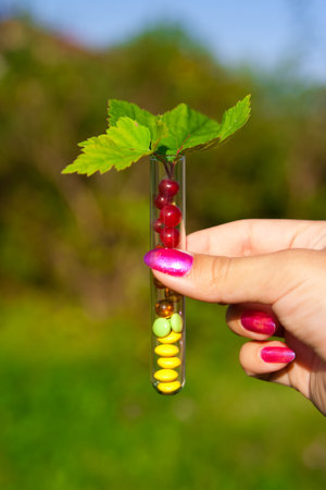 test tube with different multicolored tablets, currant berries and plant outdoors in gardenの写真素材