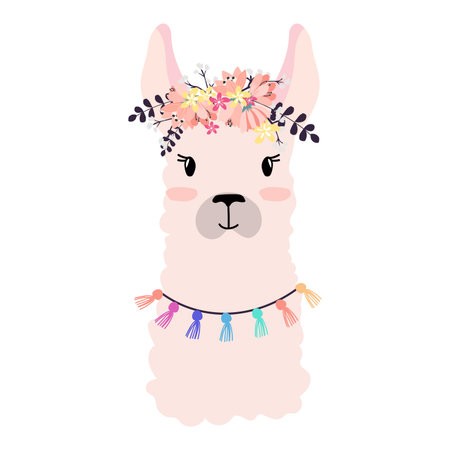 Llama illustration, cute hand drawn elements and design for nursery design, poster, birthday greeting cardのイラスト素材