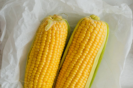 Two corn on the cob top view on white parchment paperの写真素材