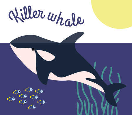 The blue predatory killer whale swims in the sea underwater world. Sea creatures. Ocean dwellers and fish in corals and algae. Vector flat illustration. Teaching and educating children.のイラスト素材