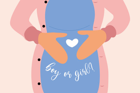 Pregnant woman's belly. Waiting for a baby boy or girl. Postcard for gender party.のイラスト素材