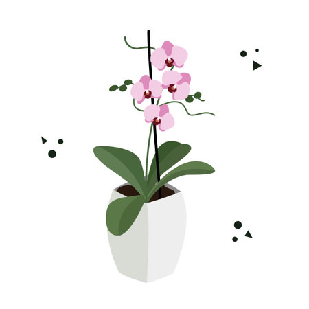 Orchid in a flowerpot isolated on a white background. Postcard with a flower in a pots. Flat vector illustrationのイラスト素材