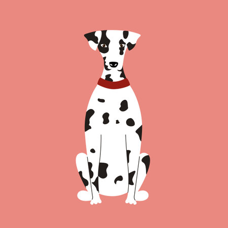 Cute white spotted Dalmatian dog isolated on pink background. Vector illustration of cartoon character flatのイラスト素材
