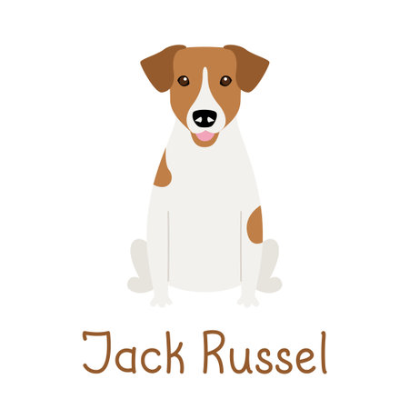Purebred Jack Russell Terrier dog. Vector illustration of a cute characterのイラスト素材