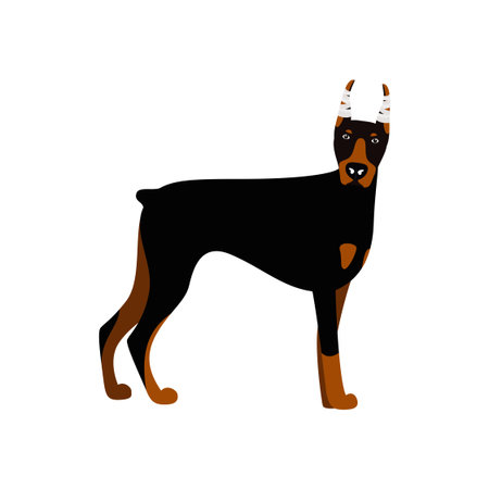 Vector cute dog Doberman Pinscher. Vector illustration of flat characterのイラスト素材