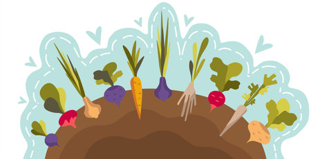 Vector background with a vegetable garden with colorful vegetables. Place for inscription, can be used in the design of printed materials of eco-festivals, vegan shops, vegetable fairs. For the design of eco festivals, vegan shops, vegetable fairs, eco cafe.のイラスト素材