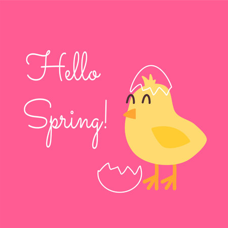 Vector square greeting card with yellow inshell chicken on a pink background. The concept of the coming of new life, greeting spring, awakening. Letterin Hello spring hand drawnのイラスト素材