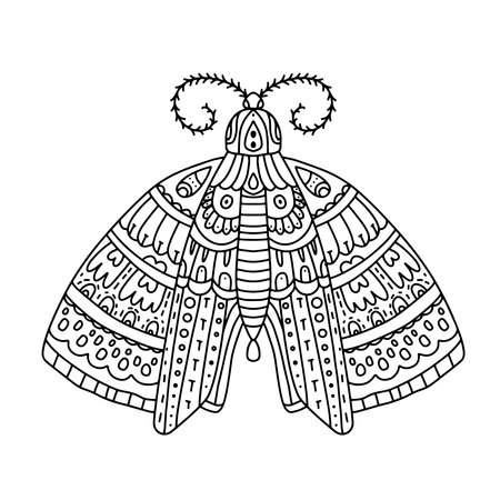 Detailed ornamental sketch of a moth. Coloring page with high details isolated on white background.  pattern for relax and meditation.のイラスト素材