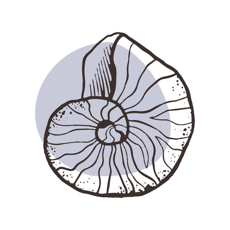 Spirulina shell for soap packaging design.   for handmade cosmetics, bath foam, spa salon. Shell in the form of a spiral, ancient nautilus shellfish, travel agency and sea vacation, tattoo design.のイラスト素材