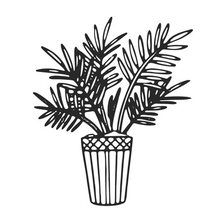 Palm house tree in a pot. Black and white flat illustration, sketch home boho style. Isolated vector illustrationのイラスト素材