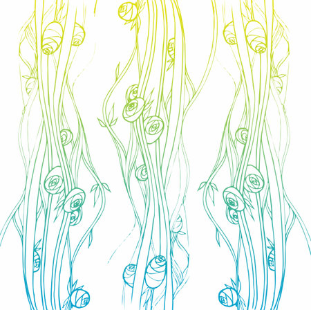 Stylized rose flower linear drawnの写真素材