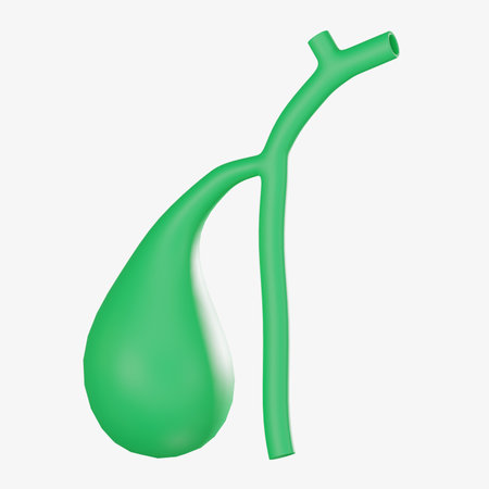3D icon of the gall bladder showcasing anatomy and function. Ideal for medical education, anatomy...