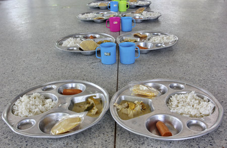 tray for food