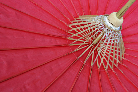 umbrella patternの写真素材