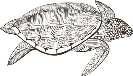 Turtle in zentangle zenart doodle style, isolated on white background. Hand drawn sketch for adult antistress coloring page,  or tattoo with doodle, zen, line and dot design elements.のイラスト素材