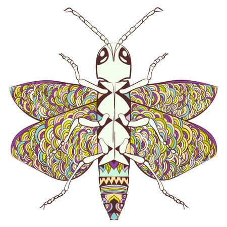 Zentangle stylized cartoon beetle insect, isolated on white background. Sketch for adult antistress coloring page. Hand drawn doodle, zentangle, floral design elements for coloring book.のイラスト素材