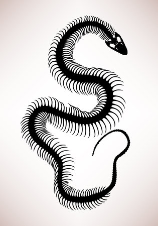 Snake Bone Skeletonのイラスト素材