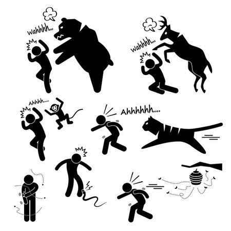 Wild Animal Attacking Hurting Human Stick Figure Pictogram Iconのイラスト素材