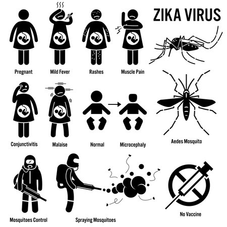 Zika Virus Aedes Mosquito Stick Figure Pictogram Iconsのイラスト素材