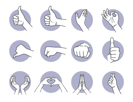 Good, love, and like hand gestures. Vector illustrations of hand and finger gestures that show thumb up, thumb down, heart, love, punch, and slap.のイラスト素材