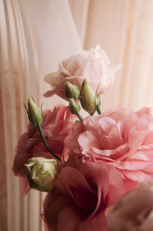 A closeup view of delicate white flowers blossoming on a tree branch against a backdrop of green grass and blue sky in a natural landscapeの写真素材