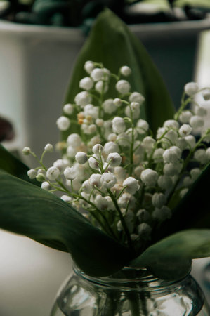 Snowdrop flowers on the table in a vase.High quality photoの写真素材