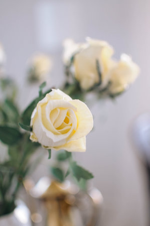 A closeup view of delicate white flowers blossoming on a tree branch against a backdrop of green grass and blue sky in a natural landscapeの写真素材