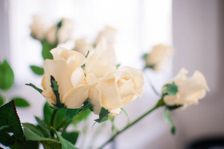 A closeup view of delicate white flowers blossoming on a tree branch against a backdrop of green grass and blue sky in a natural landscapeの写真素材