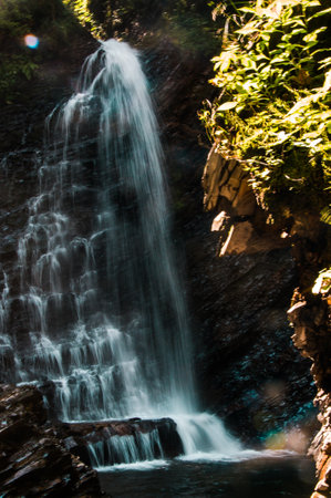 A waterfall at the rainforest. High quality photoの写真素材