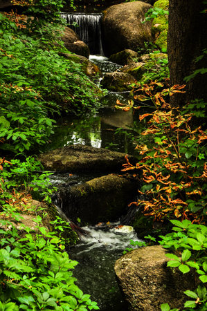 Forest waterfall stream. Waterfall stream on mossy rocks. Forest river waterfall flowing. Waterfall stream flowing. High quality photoの写真素材