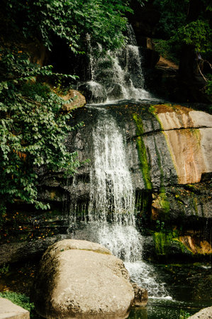 Forest waterfall stream. Waterfall stream on mossy rocks. Forest river waterfall flowing. Waterfall stream flowing. High quality photoの写真素材