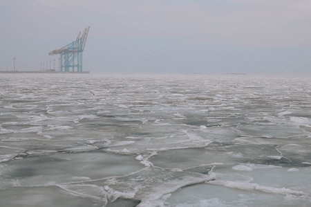 Snow-covered Black sea shore at sunrise.Snow, ice, frozen water. Soft sunlight. Picturesque winter scenery. Seasons, nature, environment, climate change, global warming themesの写真素材