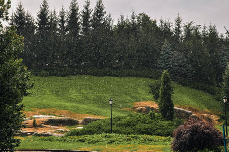 Rain falling on a park with green grass and trees. High quality photoの写真素材