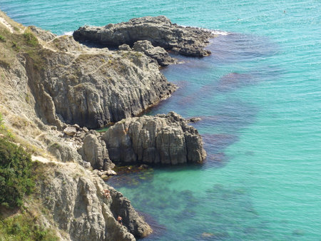 Top view and pine trees on a sunny summer morning. Black Seaの写真素材