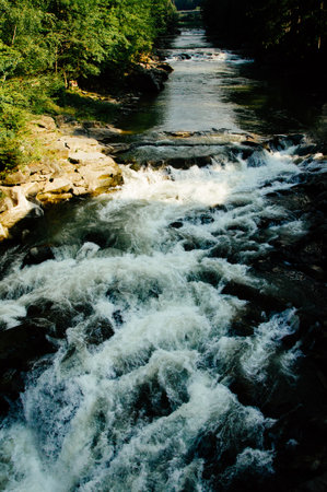 A beautiful view of water flowing at a high rate over bedrock forming waterfalls on the way down the mountain. High quality photoの写真素材