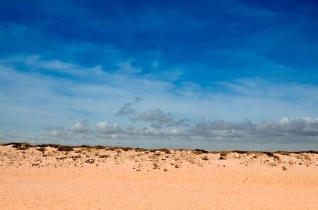 mound of orange sand and dry grass, blue sky with clouds, summer sunny day
の写真素材
