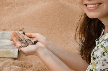 girl holds in her hand a little turtle, photographing animals, newborn turtles in the nursery. saving animals in the Sea Turtles Conservation Research Project Center in Bentota, Sri Lanka.の写真素材
