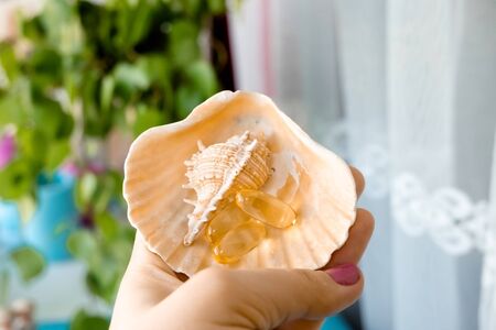 Female hand holds a shell with omega 3 vitamins on a background of a window with birch leaves