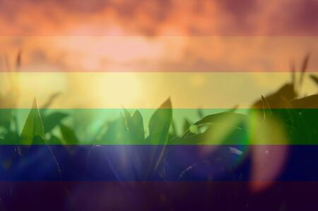 leaves of green and black tea against the sky in the sunlight in the Island Sri Lanka. LGBT natural pattern, Vintage texture background, Abstract paintingの写真素材