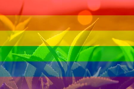 leaves of green and black tea plantation against the sky in the sunlight. toned. LGBT natural pattern, Vintage texture background, Abstract paintingの写真素材