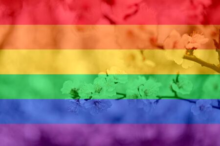 tender blooming in spring, warming, sunny day. beautiful young apricot flower on a branch in the garden, LGBT natural pattern, Vintage texture background, Abstract paintingの写真素材