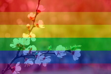 tender blooming in spring, warming, sunny day. beautiful young apricot flower on a branch in the garden, LGBT natural pattern, Vintage texture background, Abstract paintingの写真素材