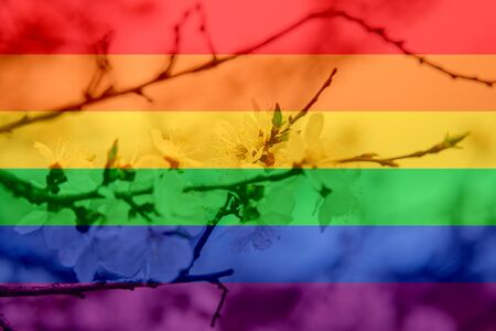 tender blooming in spring, warming, sunny day. beautiful young apricot flower on a branch in the garden, LGBT natural pattern, Vintage texture background, Abstract paintingの写真素材