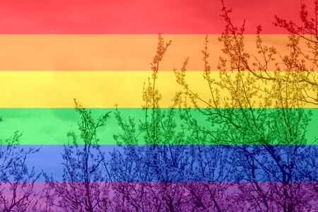 tender blooming in spring, warming, sunny day. beautiful young apricot flower on a branch in the garden, LGBT natural pattern, Vintage texture background, Abstract paintingの写真素材