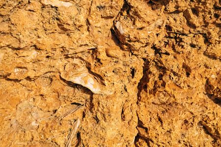 sandstone texture closeup. benagil beach in Portugal