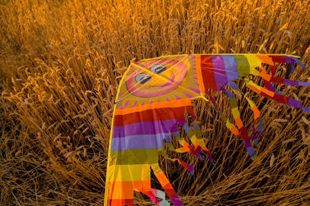 the kite lies in the field on the wheat, horizontal imageの写真素材