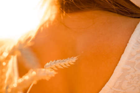 spikelets of wheat close-up on the background of the girl's back, back view, horizontal imageの写真素材
