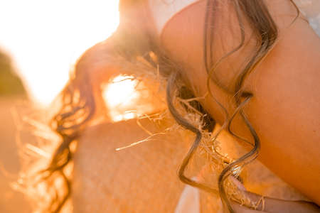 curly hair of the girl shines on the background of the back, sunset in the field, horizontal imageの写真素材